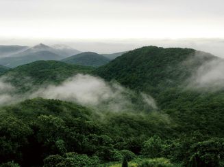 Laoshan National Forest Park