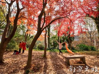 Red Maple Hill (Hongfenggang)