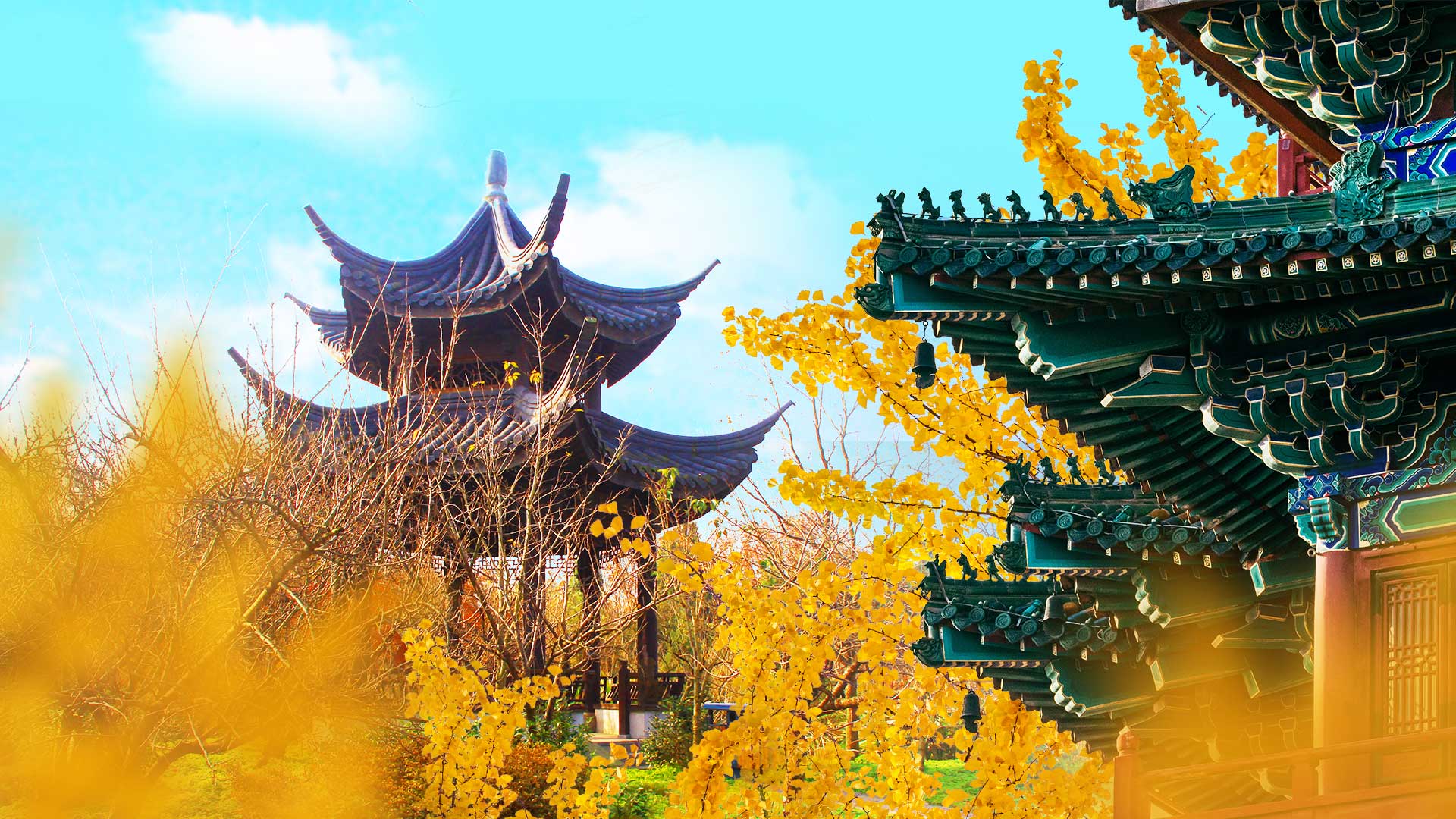 Have a data with Autumn in Nanjing